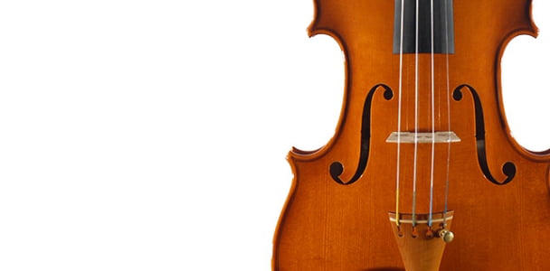 Violin